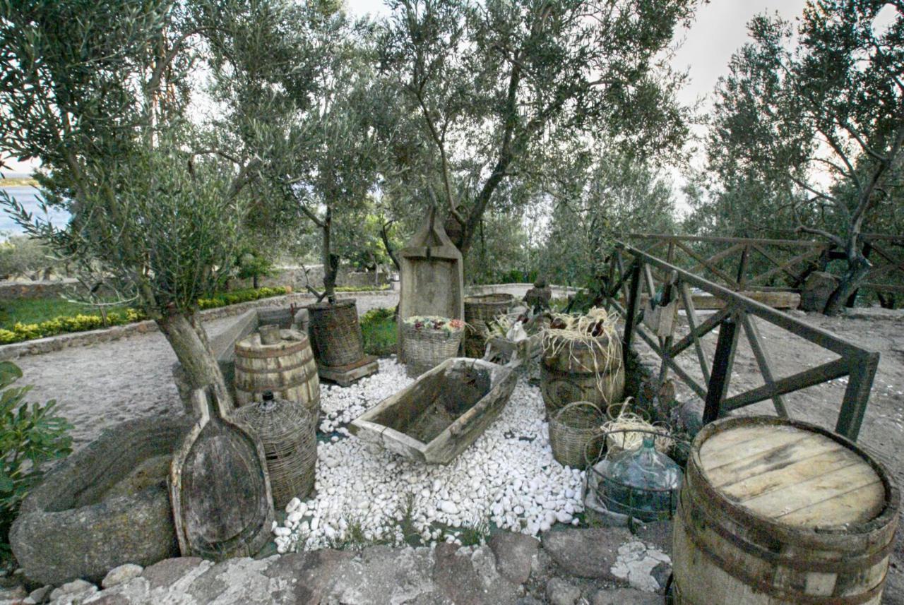 Assos Dionysos Special Class Hotel Adults Only 12 Years Exterior photo